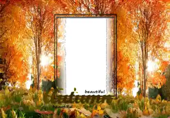 Foto-effetti della categoria Autunno № 125870