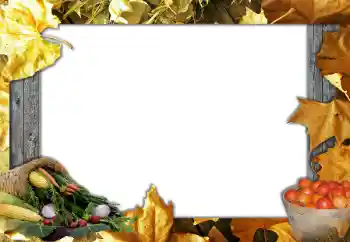 Foto-effetti della categoria Autunno № 127051