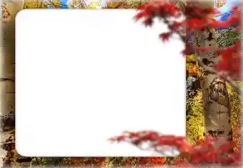 Foto-effetti della categoria Autunno № 127331