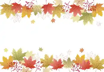 Foto-effetti della categoria Autunno № 128328