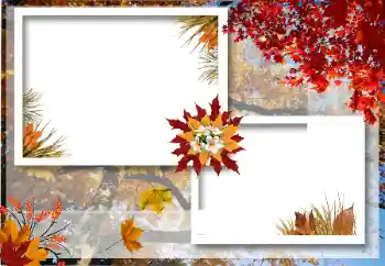 Foto-effetti della categoria Autunno № 12922 Foto-effetti della categoria Autunno № 12922