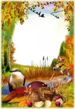 Foto-effetti della categoria Autunno № 129768