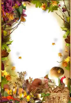 Foto-effetti della categoria Autunno № 130403