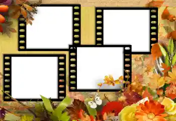 Foto-effetti della categoria Autunno № 131752