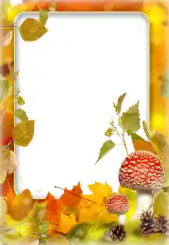 Foto-effetti della categoria Autunno № 142243