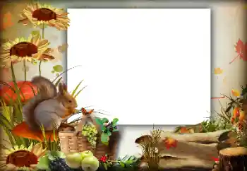 Foto-effetti della categoria Autunno № 142363 Foto-effetti della categoria Autunno № 142363