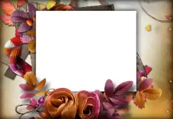 Foto-effetti della categoria Autunno № 142460 Foto-effetti della categoria Autunno № 142460