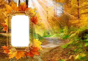 Foto-effetti della categoria Autunno № 142463 Foto-effetti della categoria Autunno № 142463