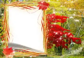 Foto-effetti della categoria Autunno № 143481 Foto-effetti della categoria Autunno № 143481