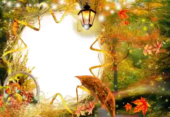 Foto-effetti della categoria Autunno № 143483 Foto-effetti della categoria Autunno № 143483