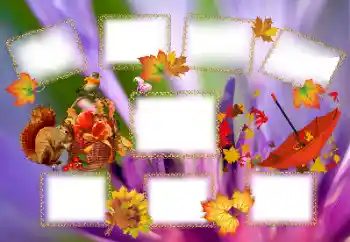 Foto-effetti della categoria Autunno № 143637 Foto-effetti della categoria Autunno № 143637