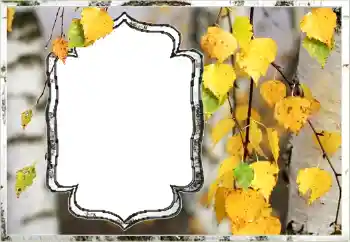 Foto-effetti della categoria Autunno № 144851 Foto-effetti della categoria Autunno № 144851