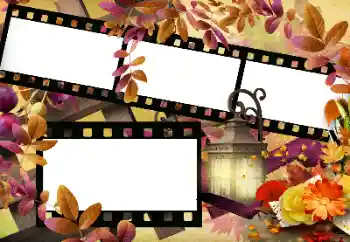 Foto-effetti della categoria Autunno № 144966