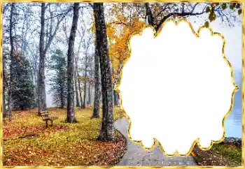 Foto-effetti della categoria Autunno № 145073