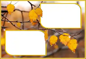 Foto-effetti della categoria Autunno № 145075