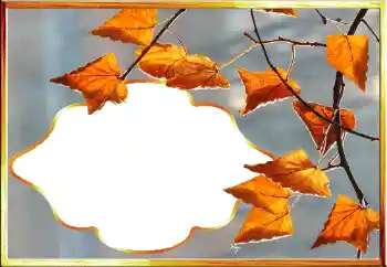 Foto-effetti della categoria Autunno № 145079