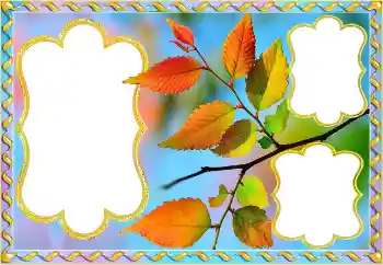 Foto-effetti della categoria Autunno № 145082 Foto-effetti della categoria Autunno № 145082