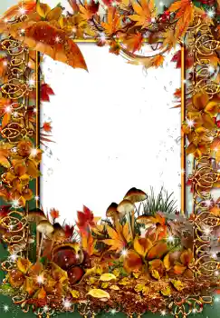 Foto-effetti della categoria Autunno № 1535