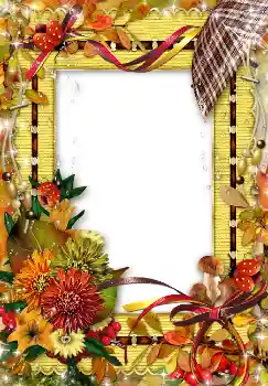 Foto-effetti della categoria Autunno № 1536