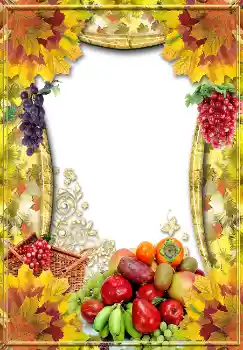 Foto-effetti della categoria Autunno № 1537