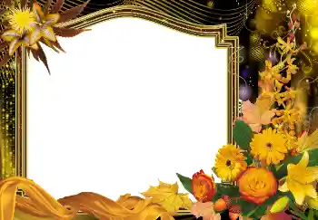 Foto-effetti della categoria Autunno № 1538