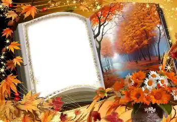 Foto-effetti della categoria Autunno № 1539