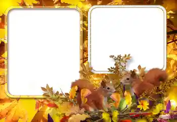 Foto-effetti della categoria Autunno № 154567 Foto-effetti della categoria Autunno № 154567