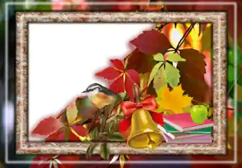 Foto-effetti della categoria Autunno № 157063 Foto-effetti della categoria Autunno № 157063