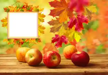 Foto-effetti della categoria Autunno № 157134 Foto-effetti della categoria Autunno № 157134