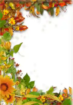 Foto-effetti della categoria Autunno № 157238