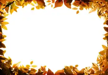 Foto-effetti della categoria Autunno № 158309