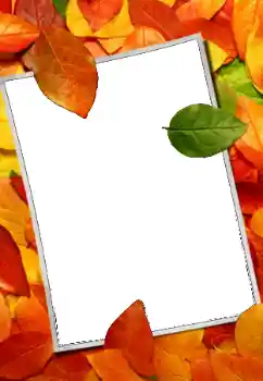 Foto-effetti della categoria Autunno № 159508 Foto-effetti della categoria Autunno № 159508