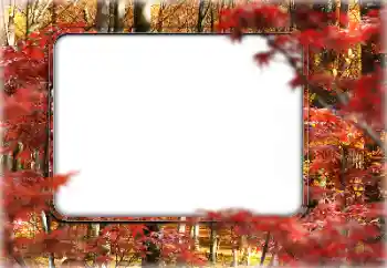 Foto-effetti della categoria Autunno № 160546 Foto-effetti della categoria Autunno № 160546