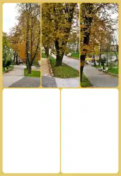 Foto-effetti della categoria Autunno № 160725