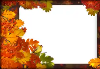 Foto-effetti della categoria Autunno № 160787