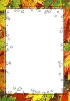 Foto-effetti della categoria Autunno № 160936