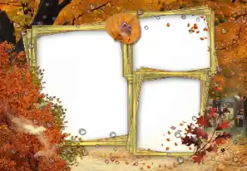 Foto-effetti della categoria Autunno № 162180 Foto-effetti della categoria Autunno № 162180