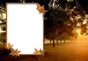 Foto-effetti della categoria Autunno № 166423 Foto-effetti della categoria Autunno № 166423