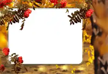 Foto-effetti della categoria Autunno № 166546 Foto-effetti della categoria Autunno № 166546