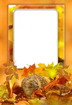 Foto-effetti della categoria Autunno № 168000 Foto-effetti della categoria Autunno № 168000