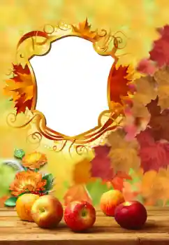 Foto-effetti della categoria Autunno № 171773