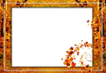 Foto-effetti della categoria Autunno № 174119