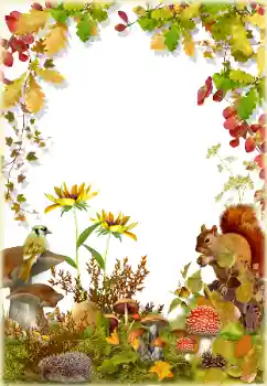 Foto-effetti della categoria Autunno № 174322