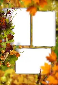 Foto-effetti della categoria Autunno № 176614