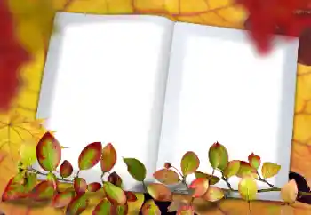 Foto-effetti della categoria Autunno № 182190