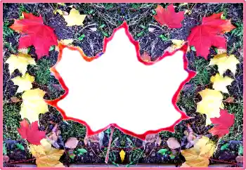 Foto-effetti della categoria Autunno № 190569 Foto-effetti della categoria Autunno № 190569