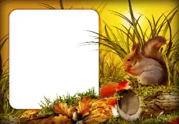 Foto-effetti della categoria Autunno № 190592 Foto-effetti della categoria Autunno № 190592