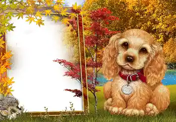 Foto-effetti della categoria Autunno № 190594 Foto-effetti della categoria Autunno № 190594