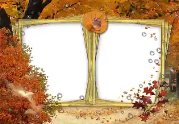 Foto-effetti della categoria Autunno № 191691