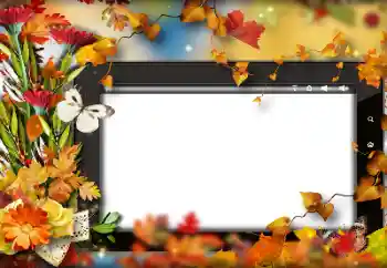 Foto-effetti della categoria Autunno № 191705